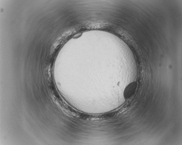 X0000052540590200507291852