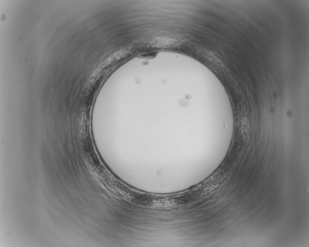 X0000052540591200507291852