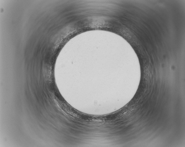 X0000052540592200507291852