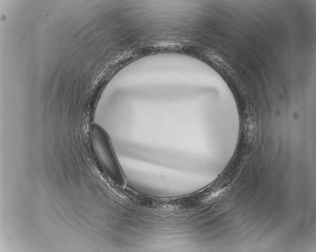 X0000052540593200507291852