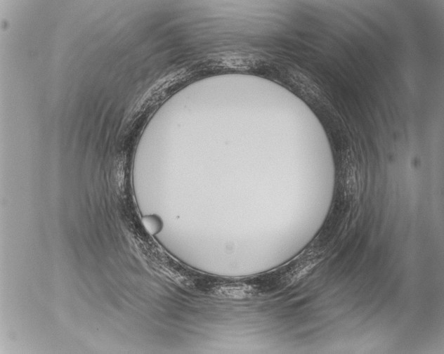 X0000052540595200507291852