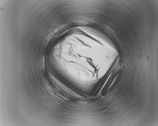 X0000052540596200507291852