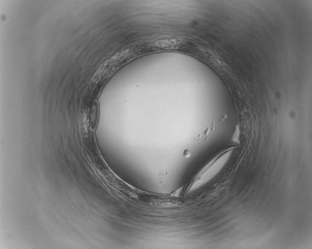 X0000052540597200507291852