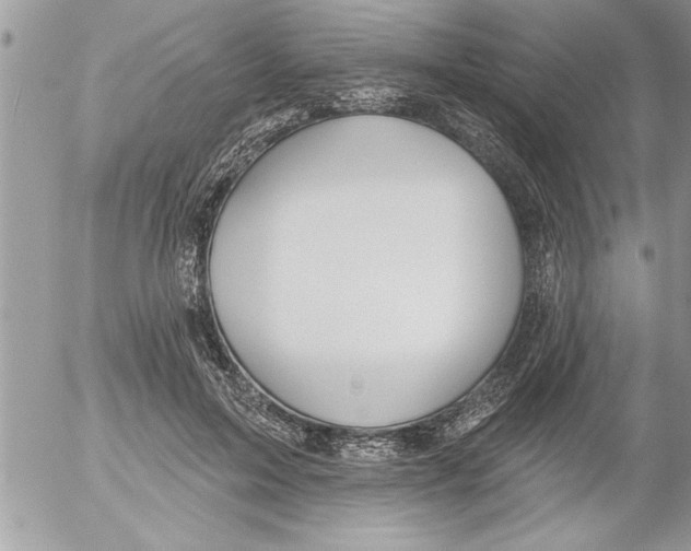 X0000052540599200507291852