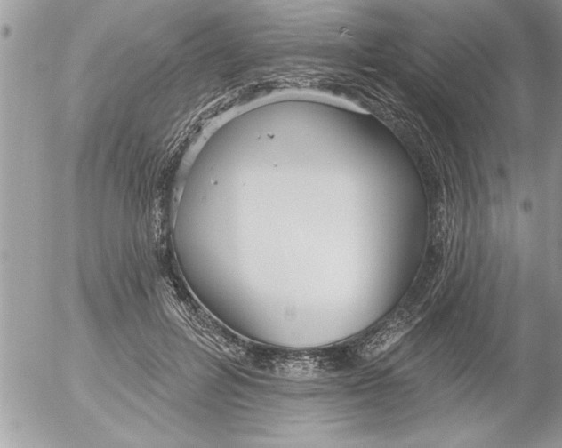 X0000052540600200507291852