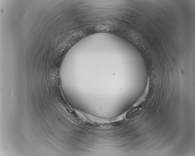 X0000052540601200507291852