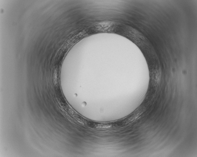 X0000052540602200507291852