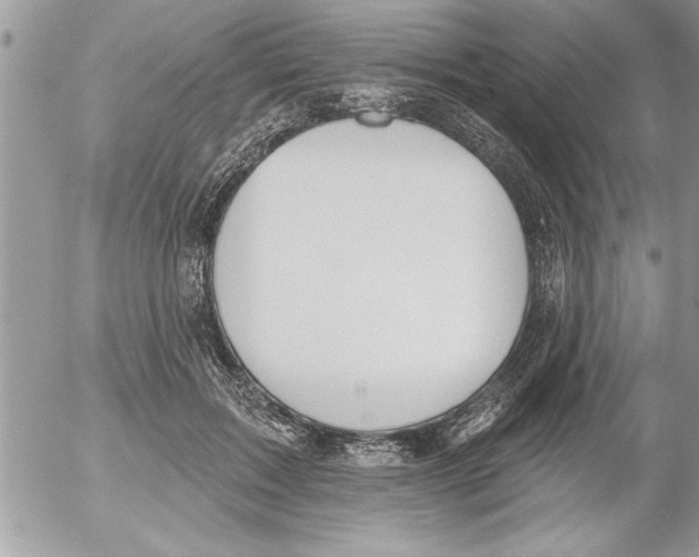 X0000052540603200507291852