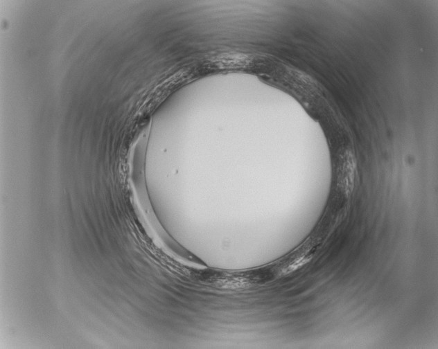 X0000052540604200507291852