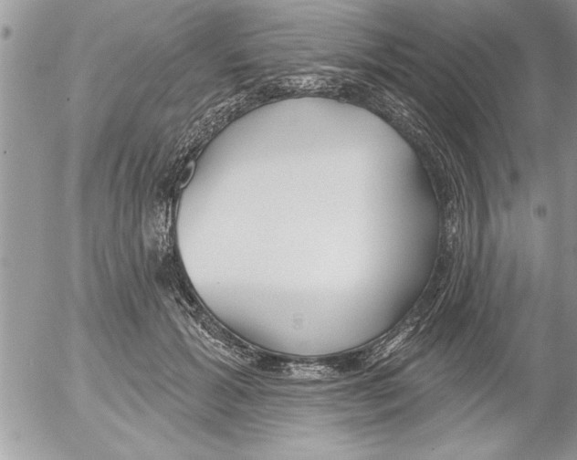 X0000052540605200507291852