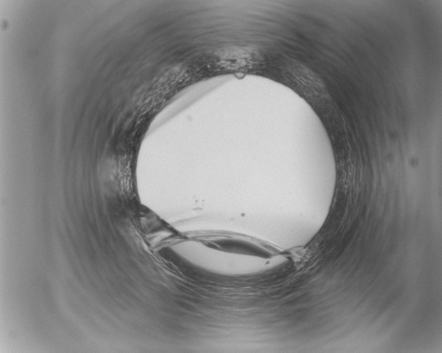 X0000052540606200507291852