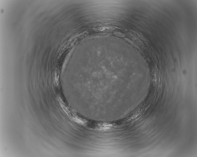 X0000052540607200507291852