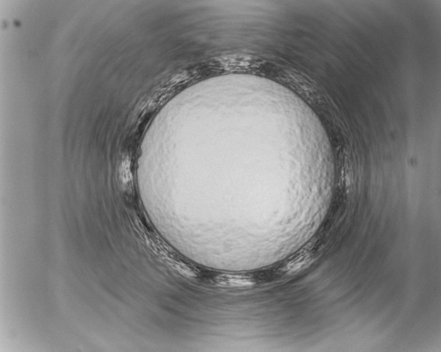 X0000052540610200507291852