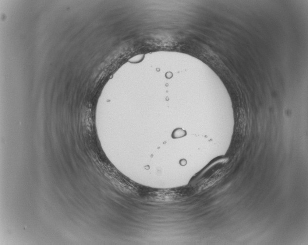 X0000052540612200507291852