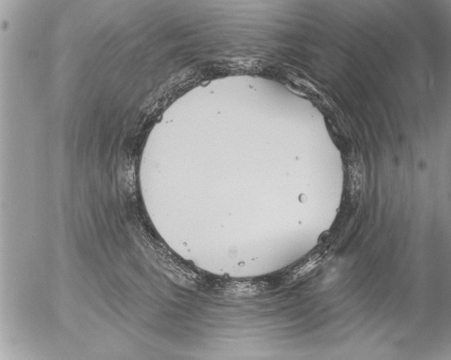 X0000052540613200507291852