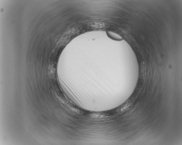 X0000052540614200507291852