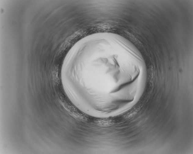 X0000052540615200507291852