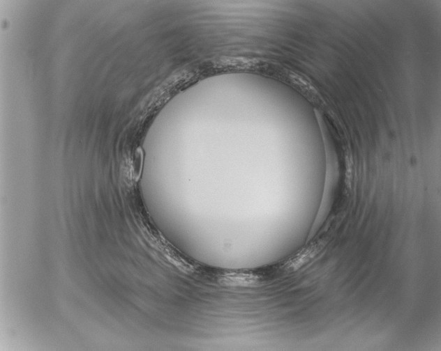 X0000052540617200507291852