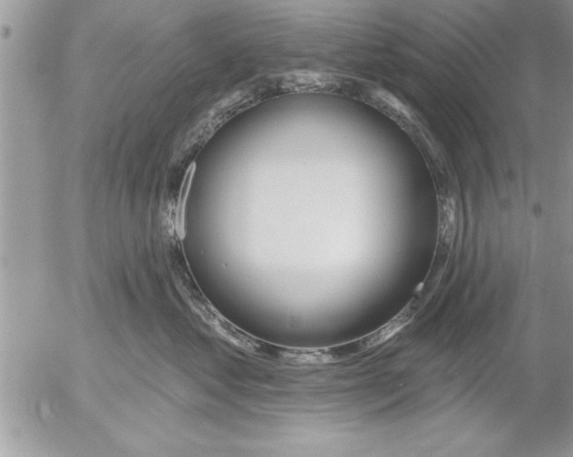 X0000052540621200507291852