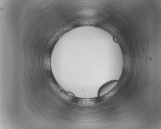 X0000052540622200507291852