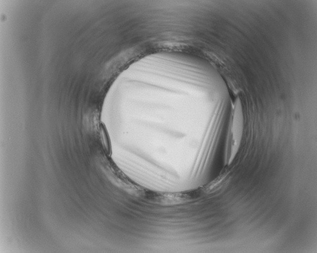 X0000052540623200507291852