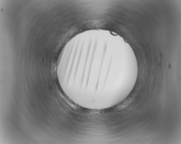 X0000052540624200507291852