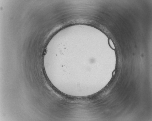 X0000052540625200507291851