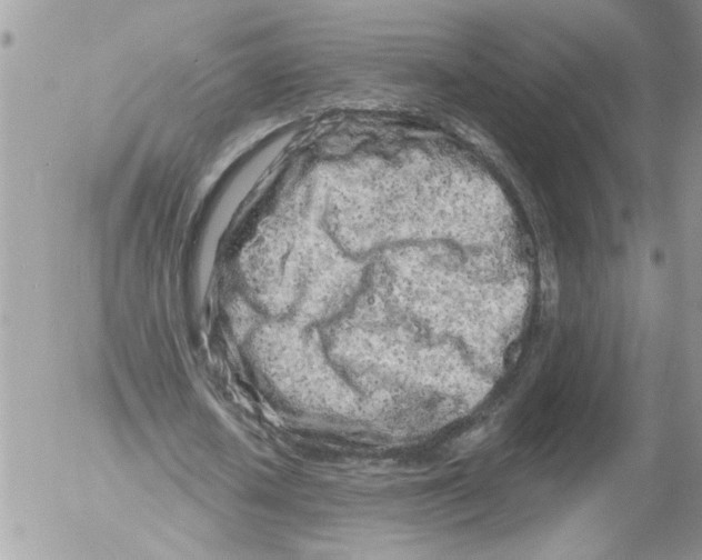 X0000052540626200507291851