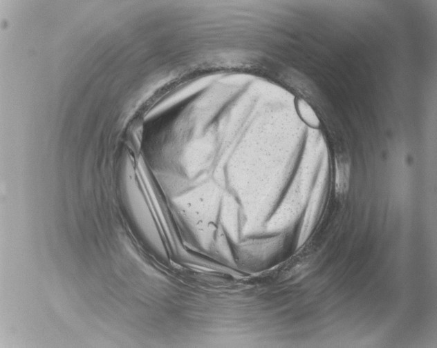 X0000052540627200507291851