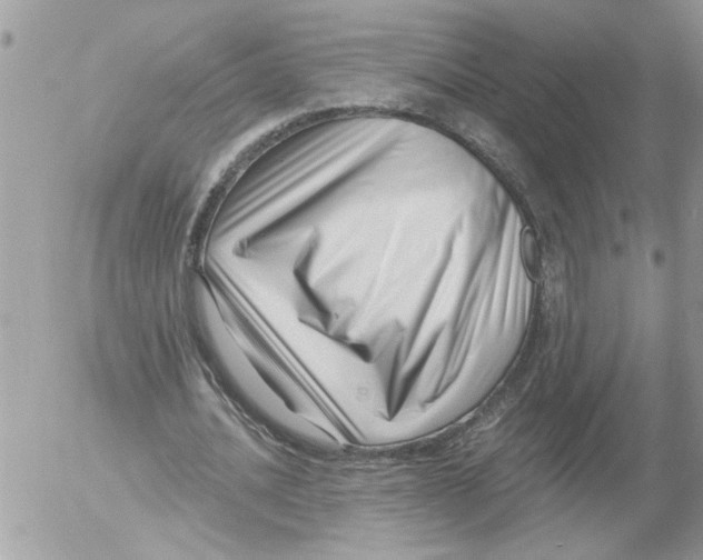 X0000052540628200507291851