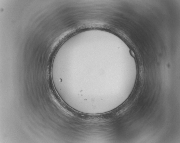 X0000052540629200507291851