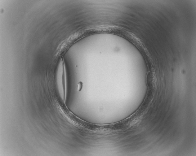 X0000052540633200507291851