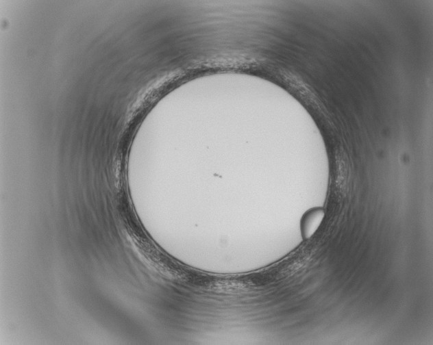 X0000052540636200507291851