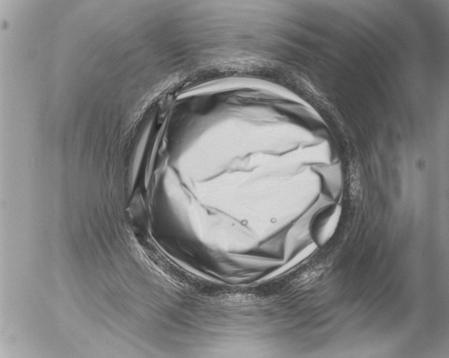 X0000052540637200507291851