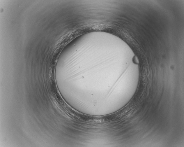 X0000052540639200507291851