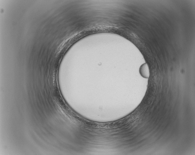 X0000052540640200507291851