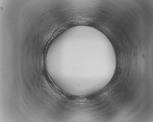 X0000052540642200507291851