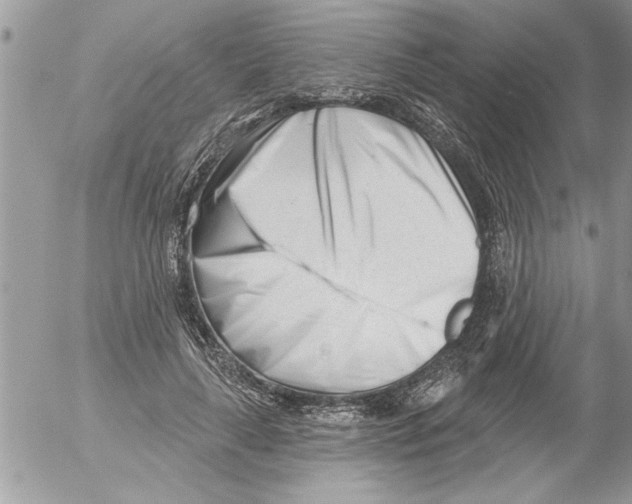 X0000052540643200507291851