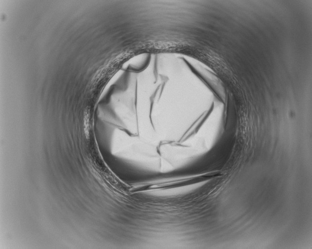 X0000052540644200507291851