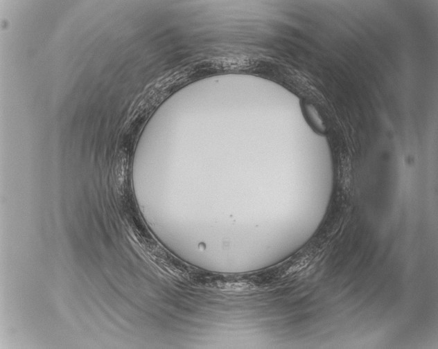 X0000052540645200507291851