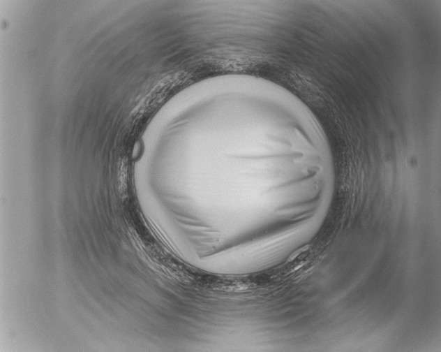 X0000052540646200507291851