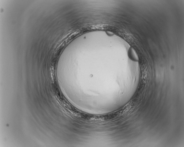 X0000052540648200507291851