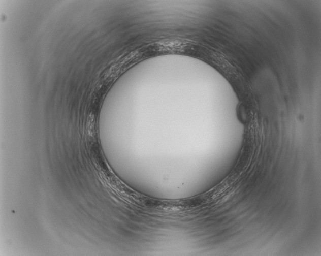 X0000052540649200507291851