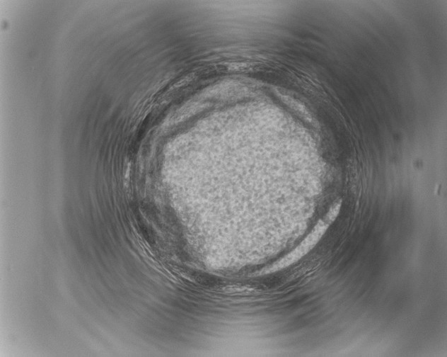 X0000052540650200507291851