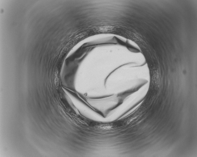 X0000052540651200507291851