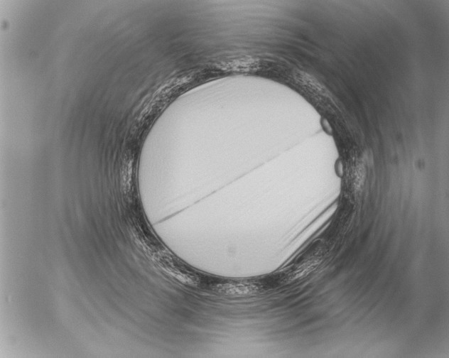 X0000052540652200507291851