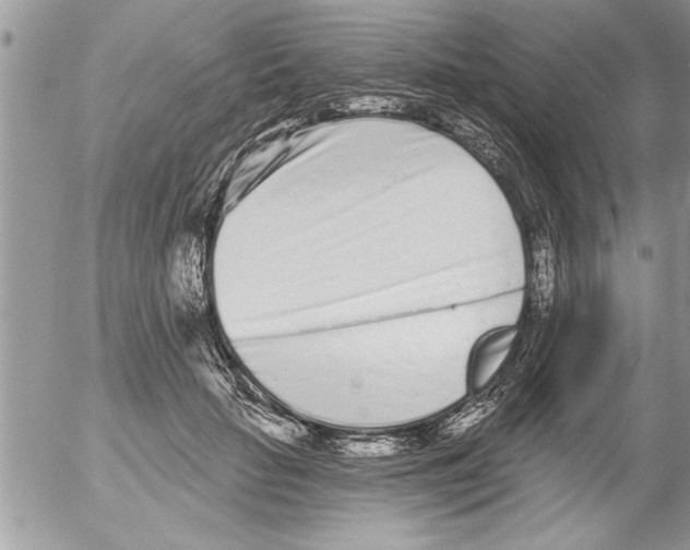 X0000052540653200507291851