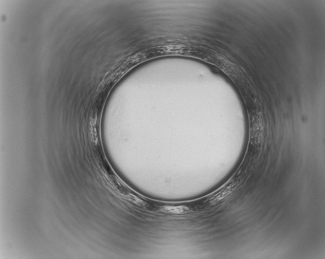 X0000052540654200507291851