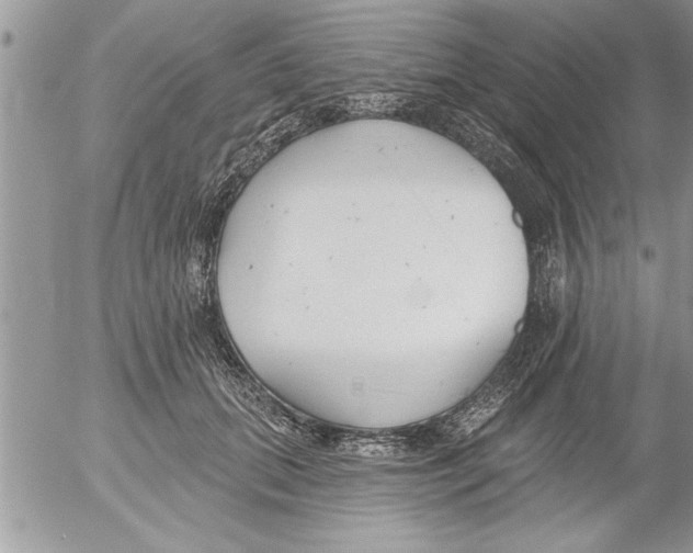 X0000052540655200507291851