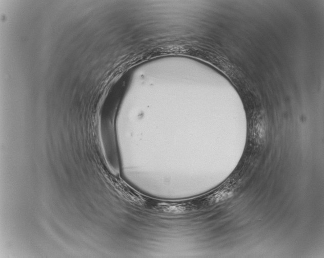 X0000052540658200507291852